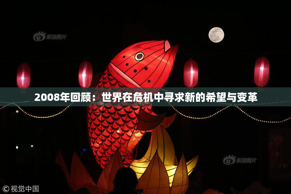2008年回顾：世界在危机中寻求新的希望与变革