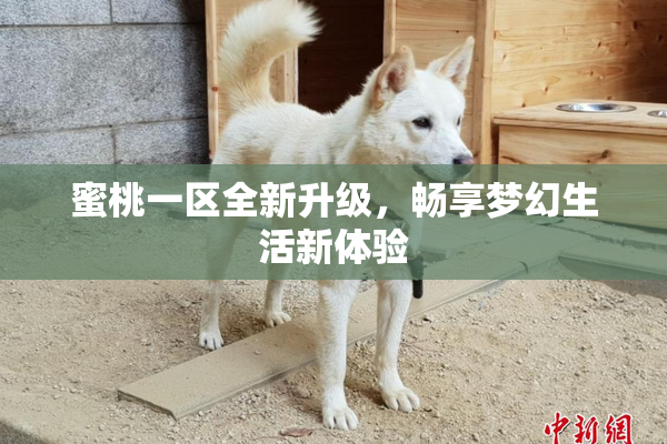 蜜桃一区全新升级，畅享梦幻生活新体验