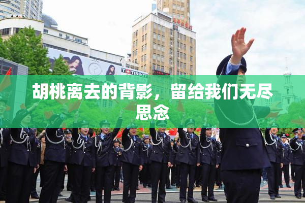 胡桃离去的背影，留给我们无尽思念