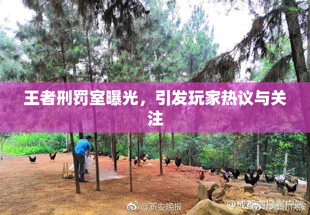 王者刑罚室曝光，引发玩家热议与关注