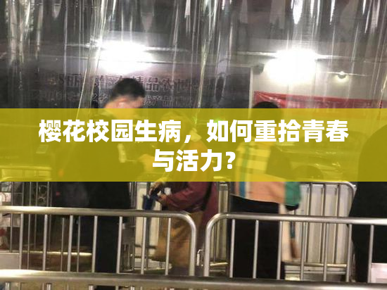 樱花校园生病，如何重拾青春与活力？